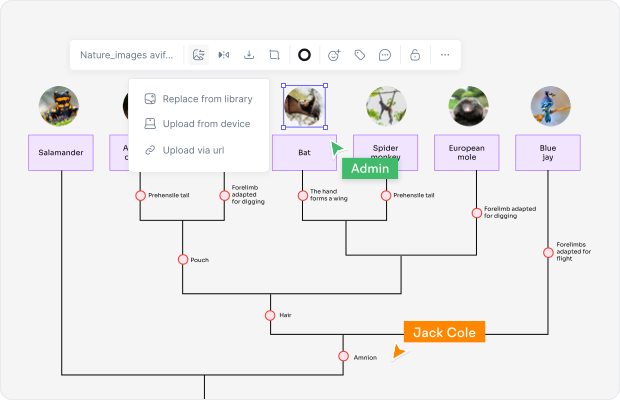 Cladogram Definition