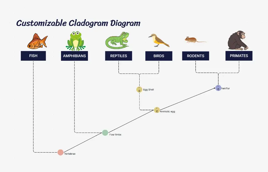 Customizable Cladogram Diagram — editable phylogenetic classification chart