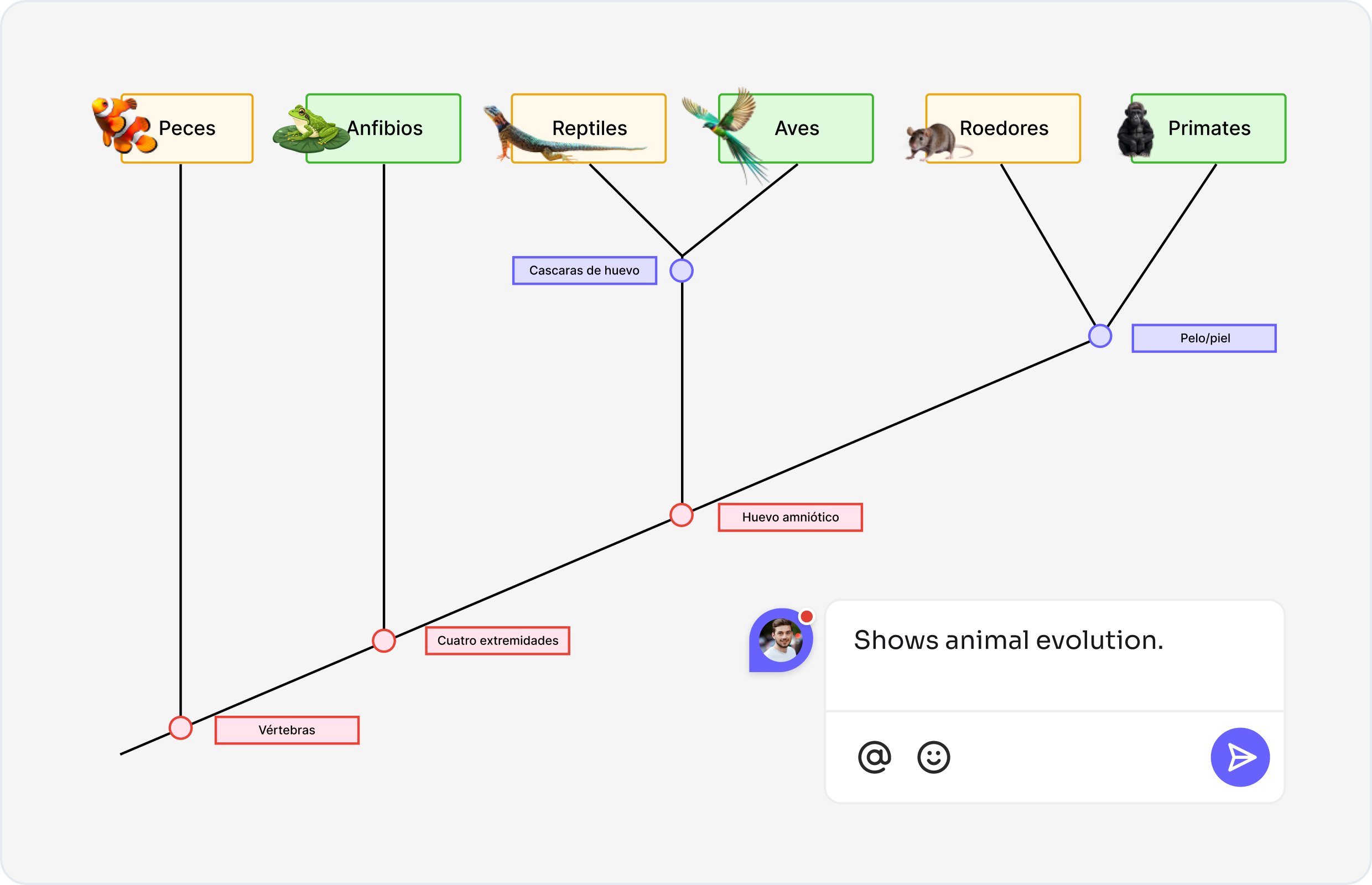 What is a cladogram — example showing branching diagram with synapomorphies and taxa in cladistics analysis