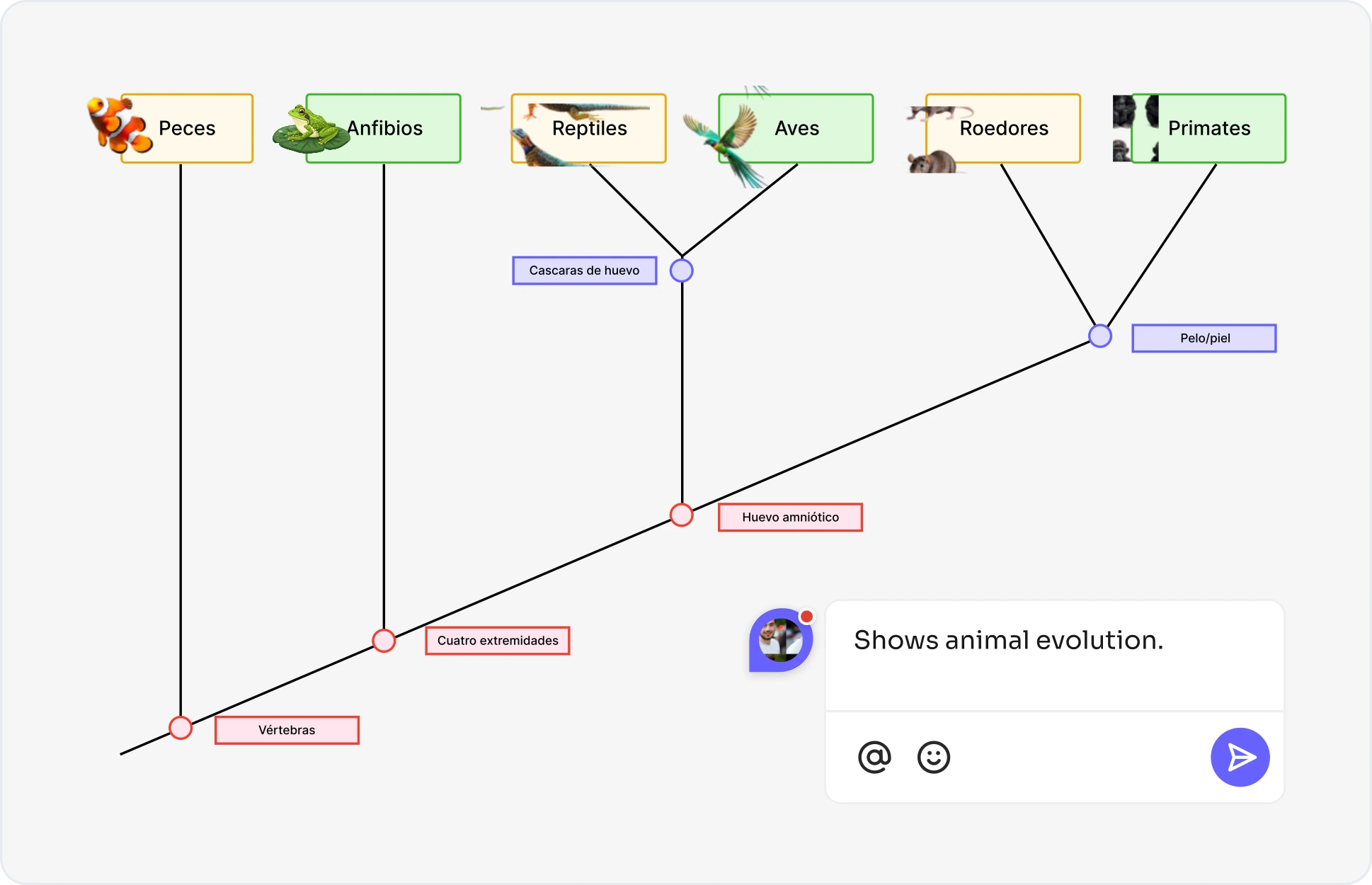 What is a Cladogram?
