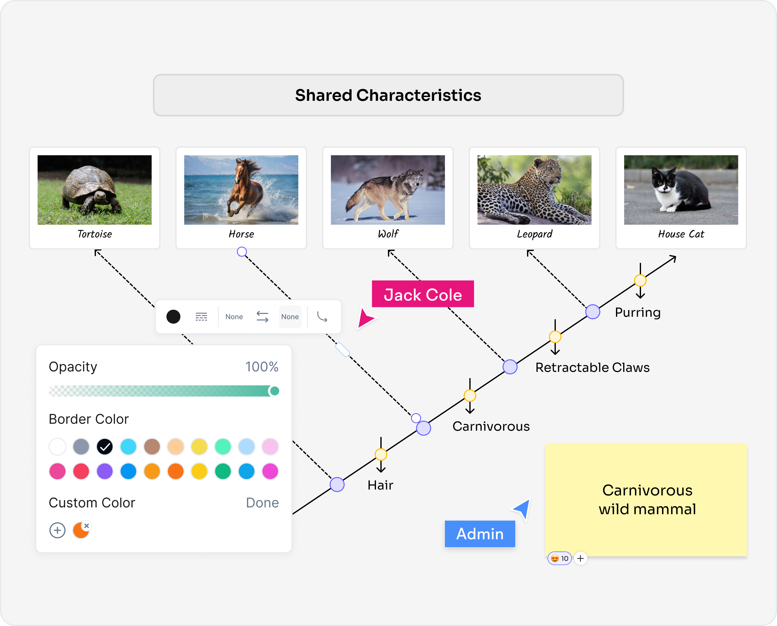 Biology students, teachers, and researchers using Cloudairy for cladogram creation and cladistics analysis