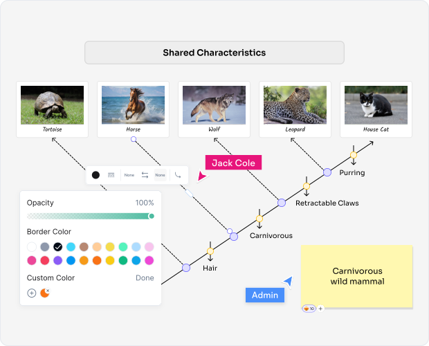 Biology students, teachers, and researchers using Cloudairy for cladogram creation and cladistics analysis