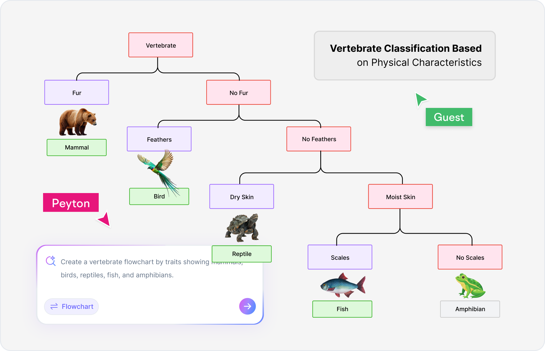 Dichotomous Key Definition