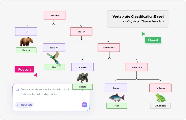 Dichotomous Key Definition