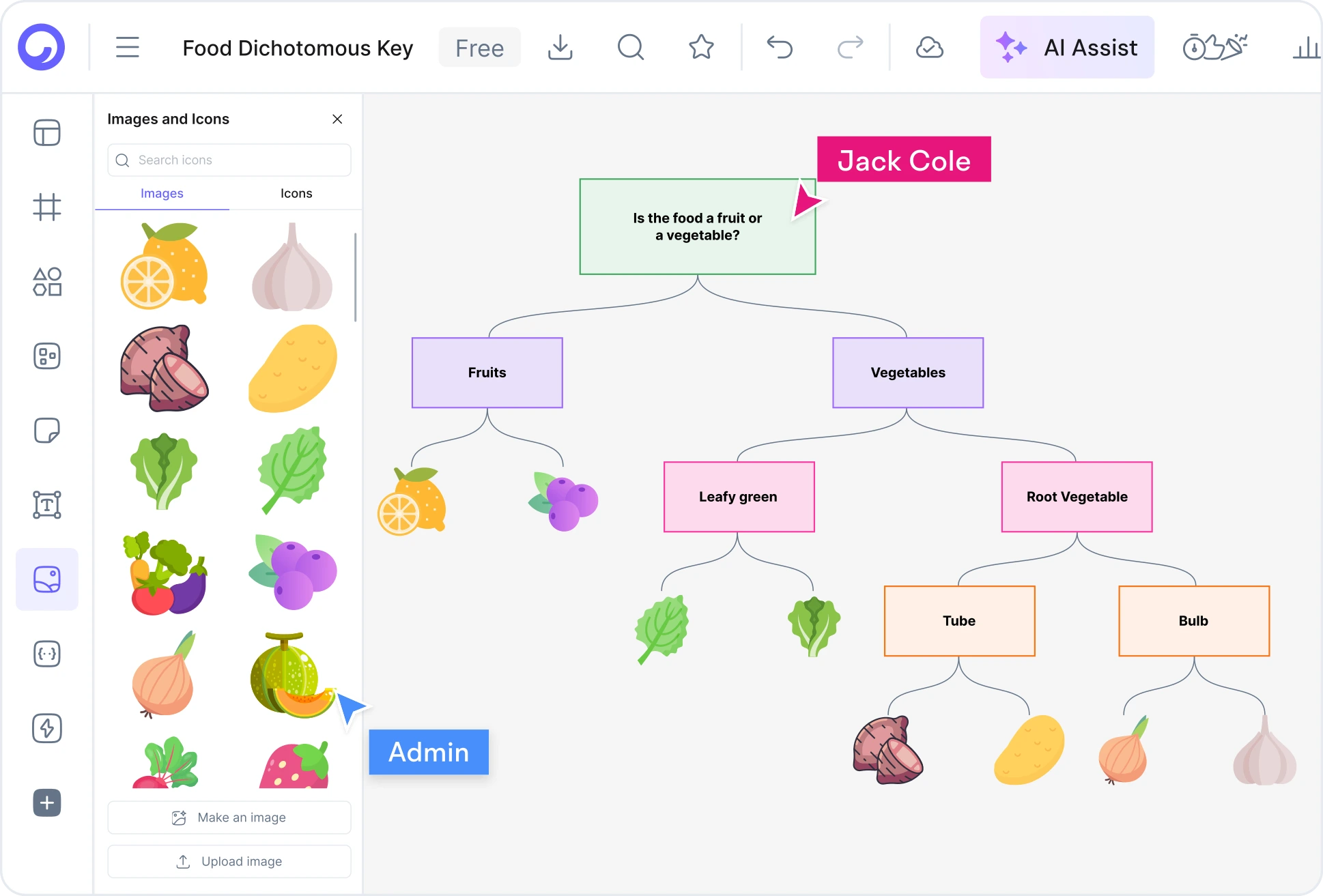 Parts of a Dichotomous Key