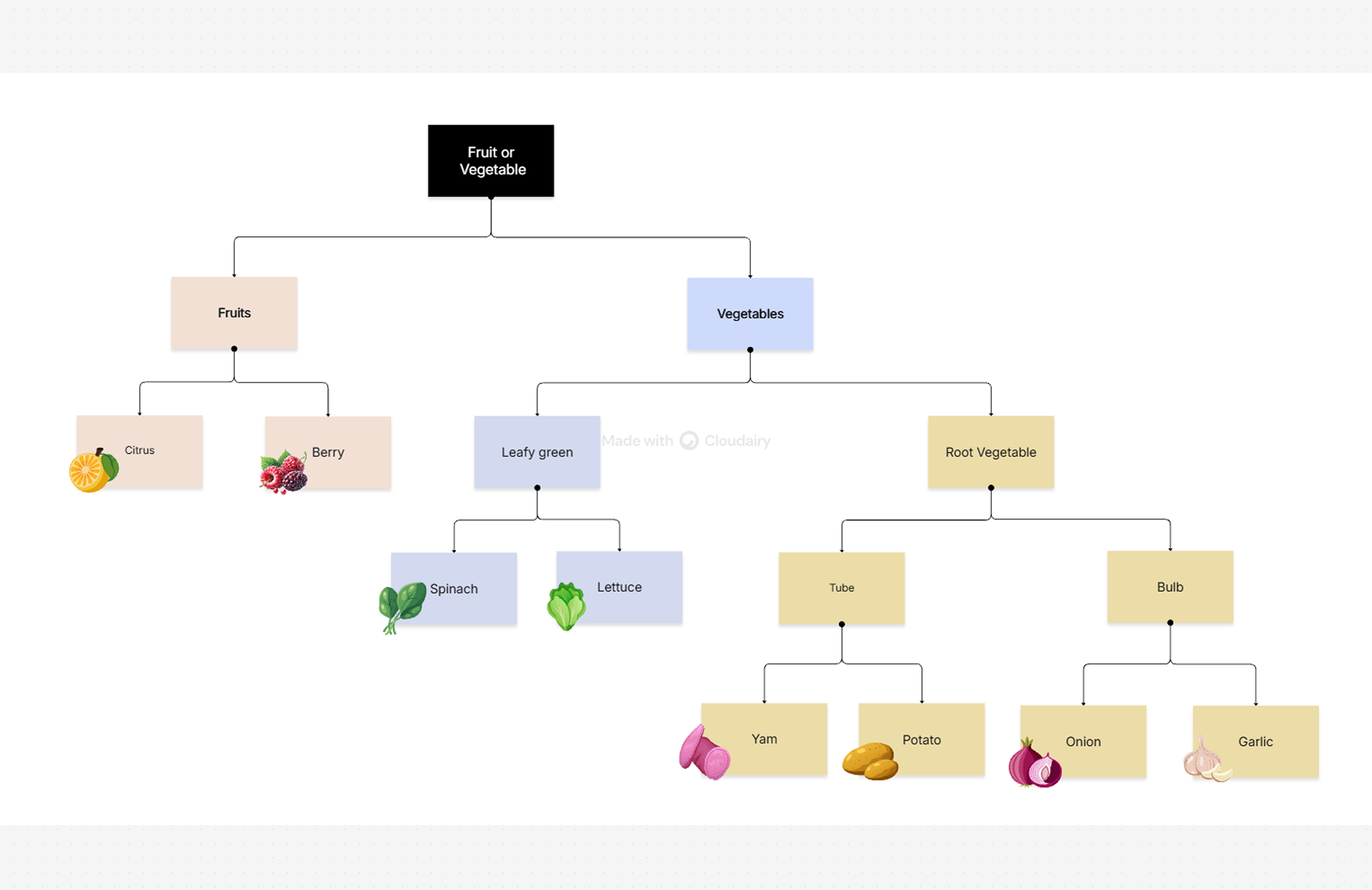 Dichotomous Key Examples For Fruit
