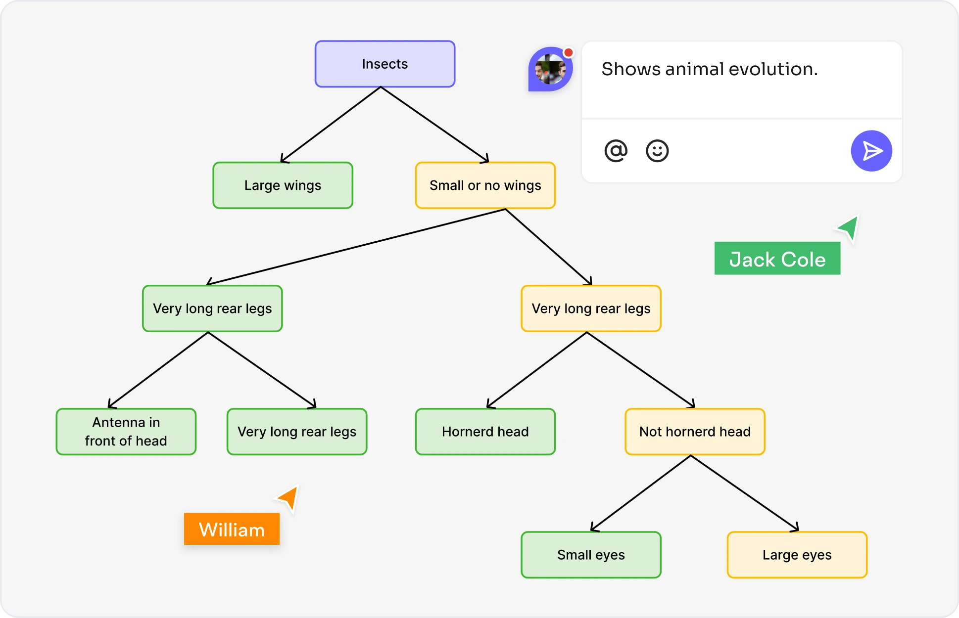 What is a Dichotomous Key?