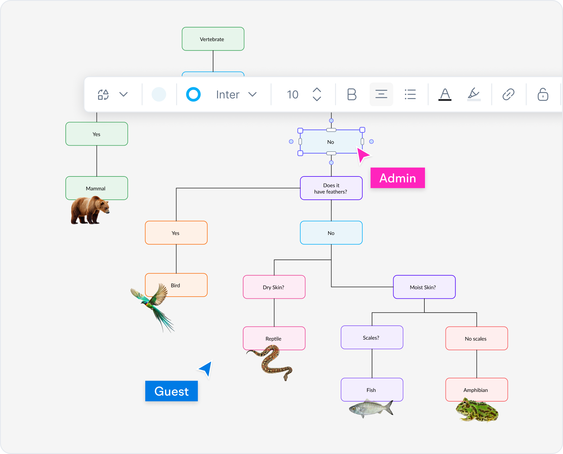 When to Use a Dichotomous Key