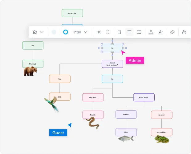 When to Use a Dichotomous Key