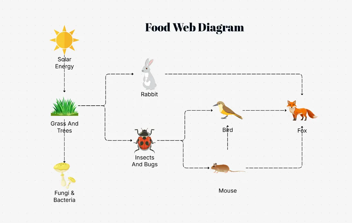 AI Food Web Maker