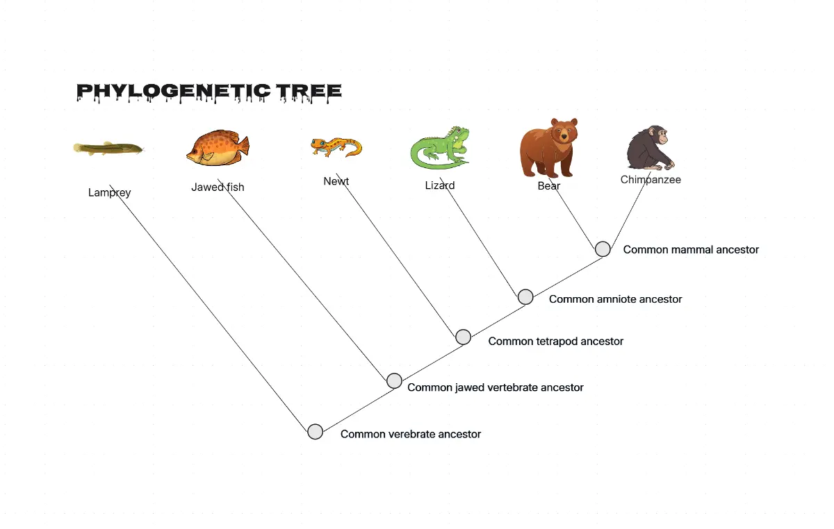 AI Pedigree Chart Maker