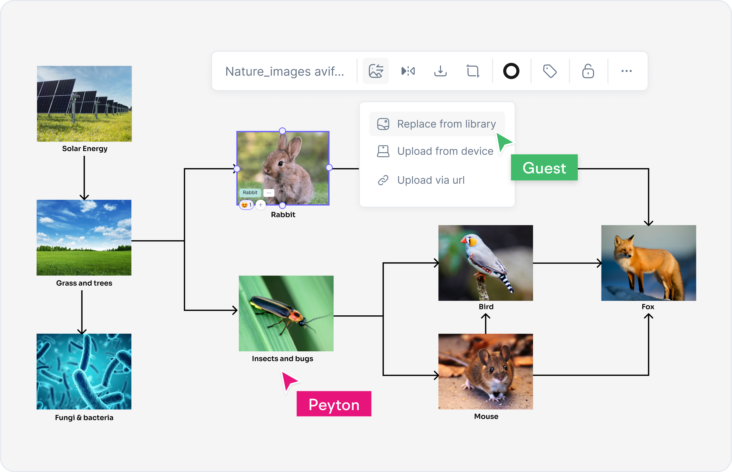 AI Food Web Definition