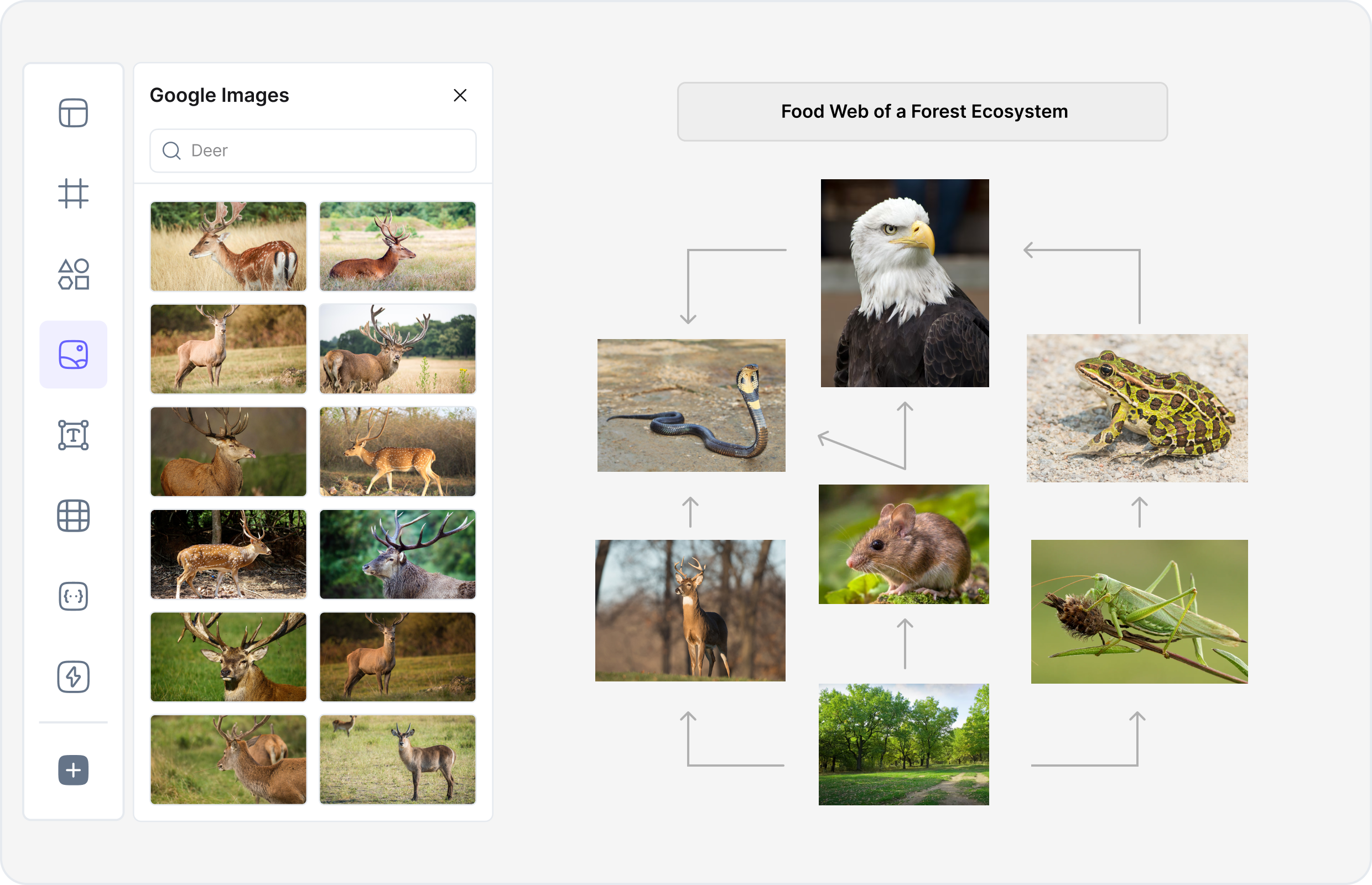 What is a Network Diagram?