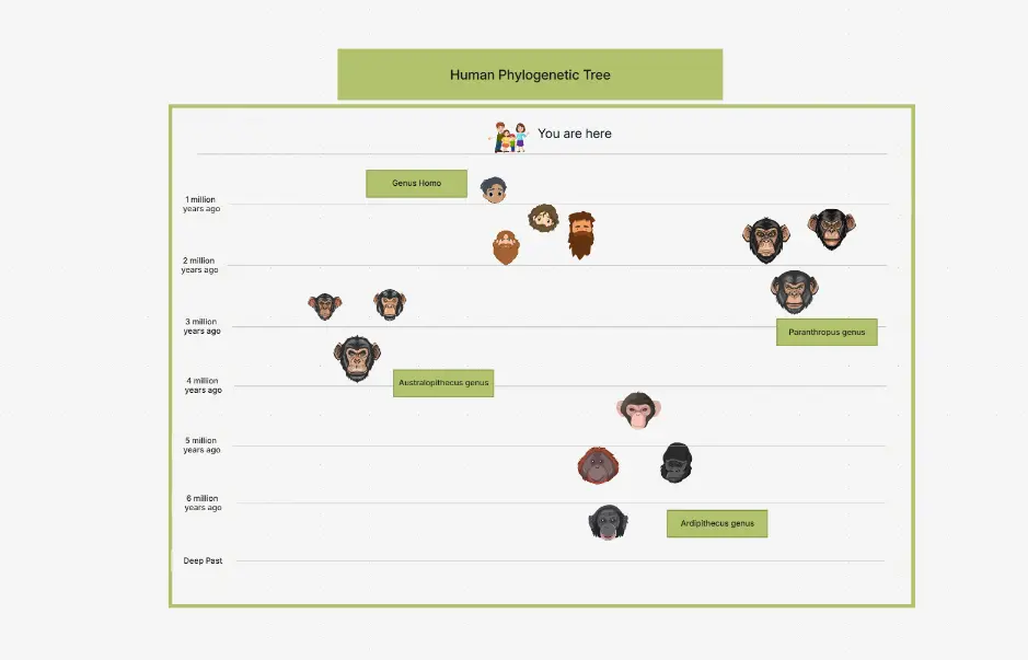 Human Phylogenetic Tree